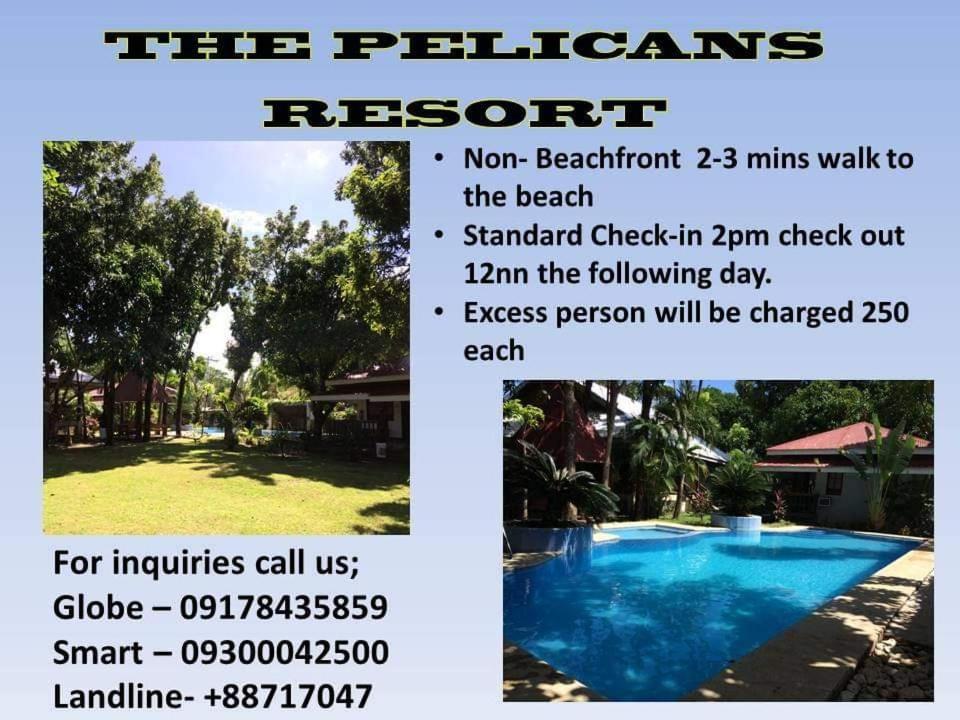 The Pelicans Resort Batangas City Kültér fotó